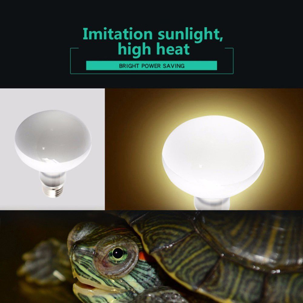 Amphibians Heat Lamp Temperatu - Basking Bulb Halogen recension och pris