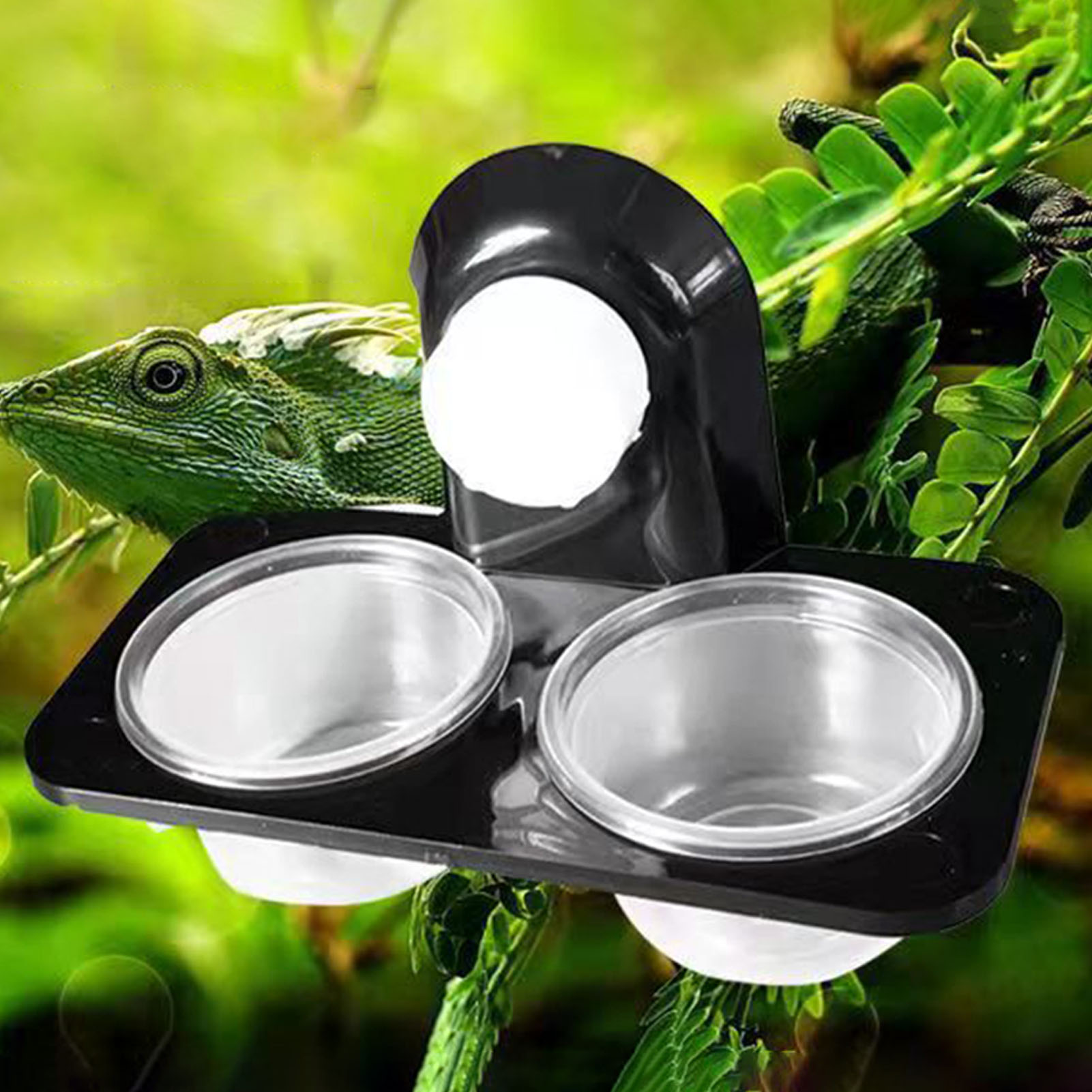 Crested Gecko Feeding Ledge Re - Water Dish Reptile recension och pris